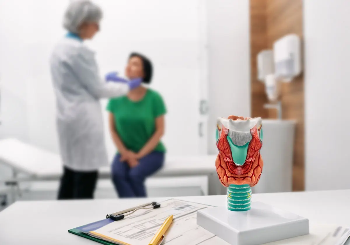 A model of a thyroid in the foreground. A doctor palpates a woman’s thyroid in the background.