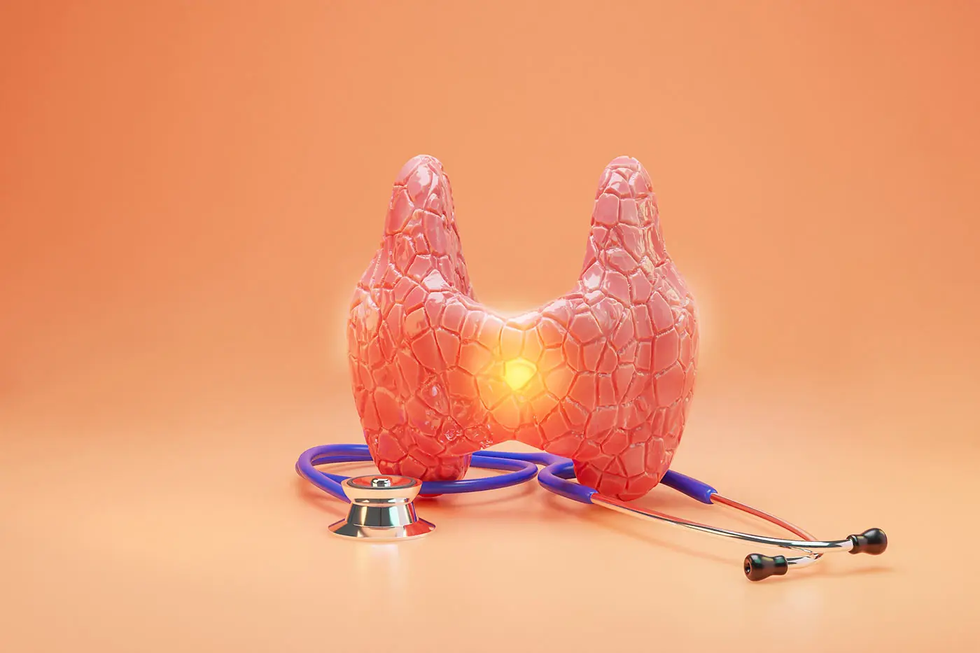 Model of an inflamed thyroid with a stethoscope