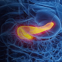 Endoscopic